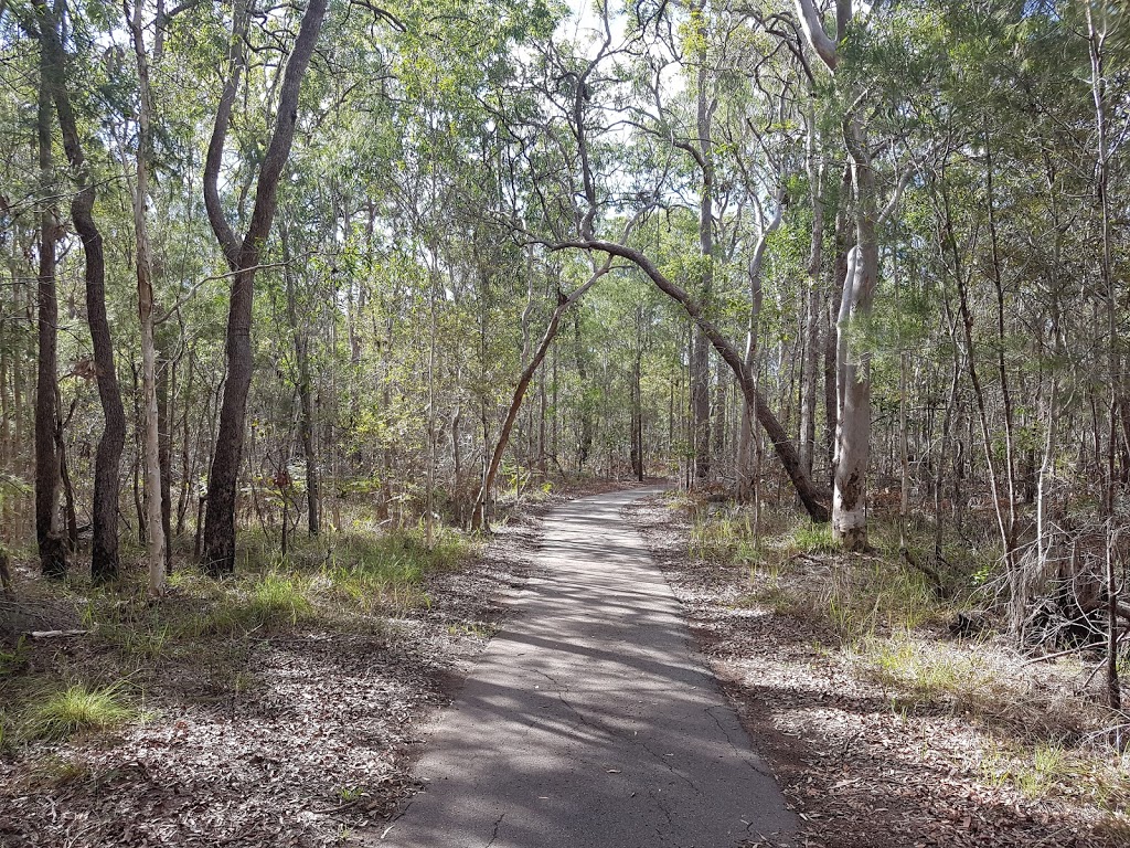 Lota Creek Boardwalk | park | 325 Whites Rd, Lota QLD 4179, Australia