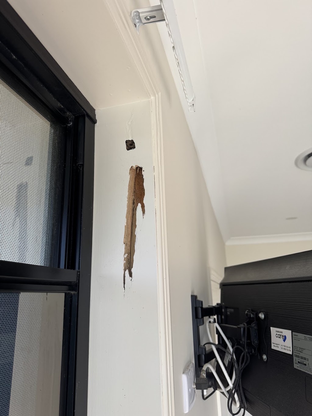 Rampart Pest Management | 65 Rifle Range Rd, Narangba QLD 4504, Australia | Phone: 0428 563 886