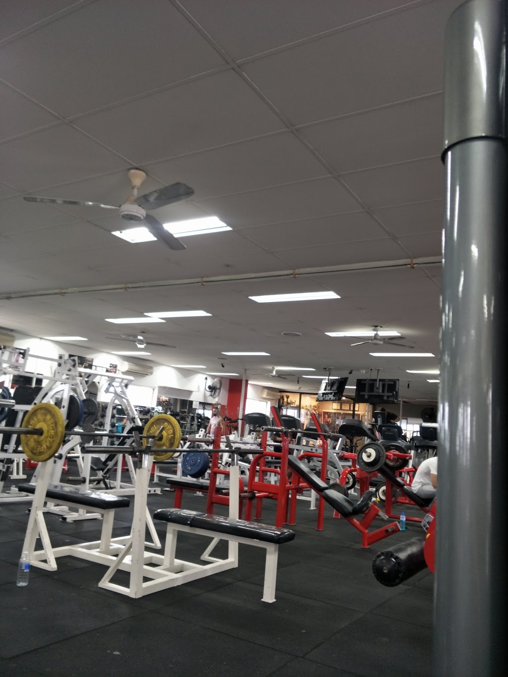 Body Action Fitness Centre | gym | 144 Polding St, Fairfield Heights NSW 2165, Australia | 0297254561 OR +61 2 9725 4561