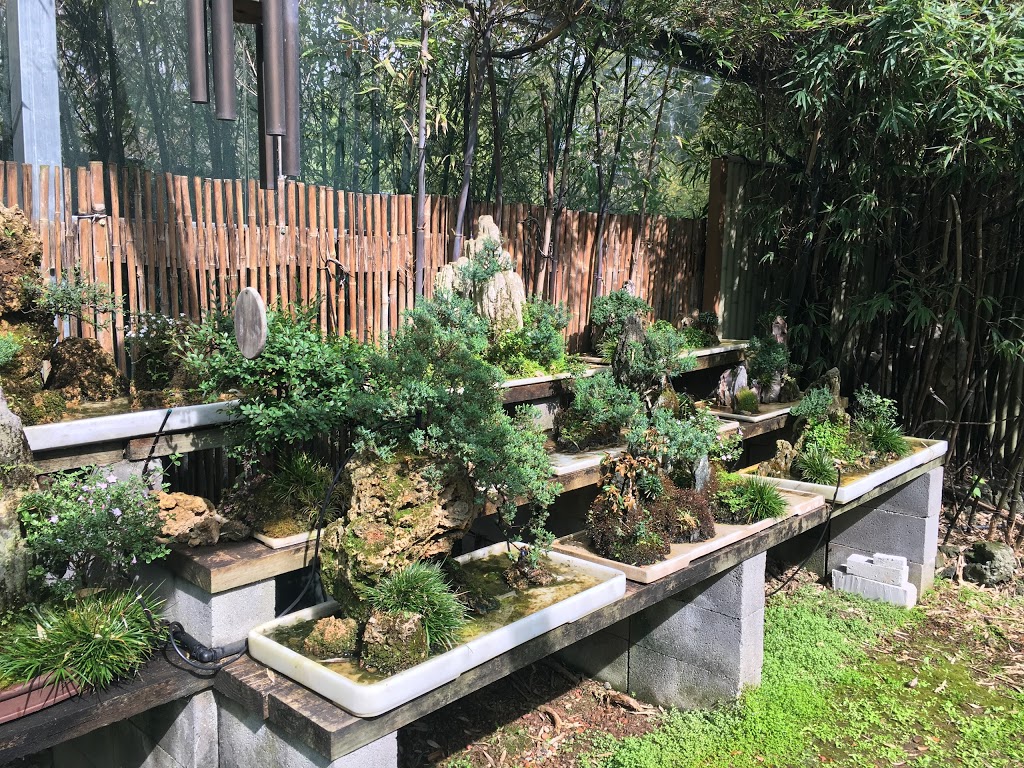 Bonsai Environment |  | 70 OConnell St, Vineyard NSW 2765, Australia | 0296276688 OR +61 2 9627 6688