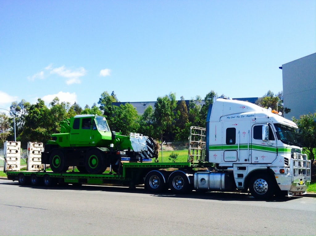 Swanes Cranes | 120 Warren Rd, Smithfield NSW 2164, Australia | Phone: (02) 9681 6000