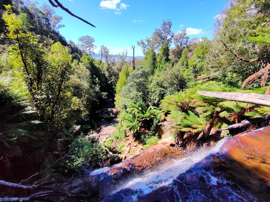 Westmorland Falls | Westmorland Falls Track, Caveside TAS 7304, Australia