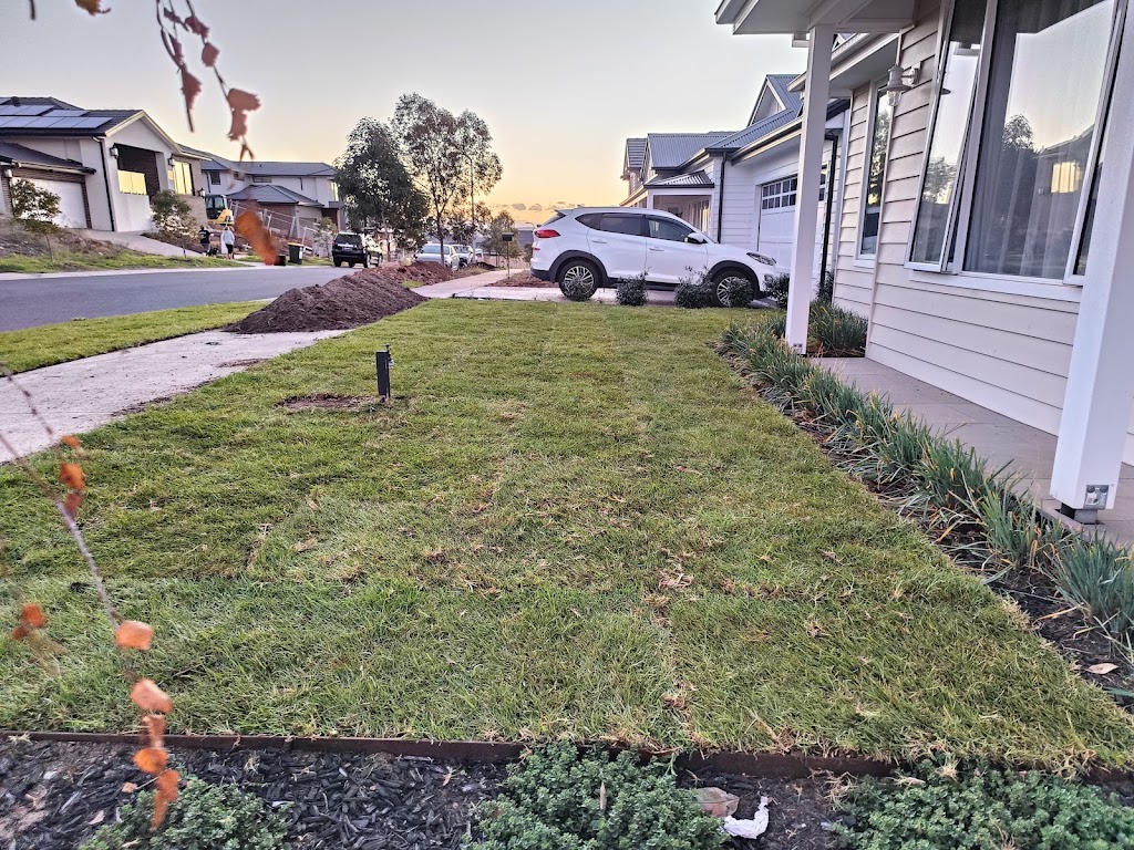 Best Turf | 20 Shelley Ave, Bundoora VIC 3083, Australia | Phone: 0412 098 002