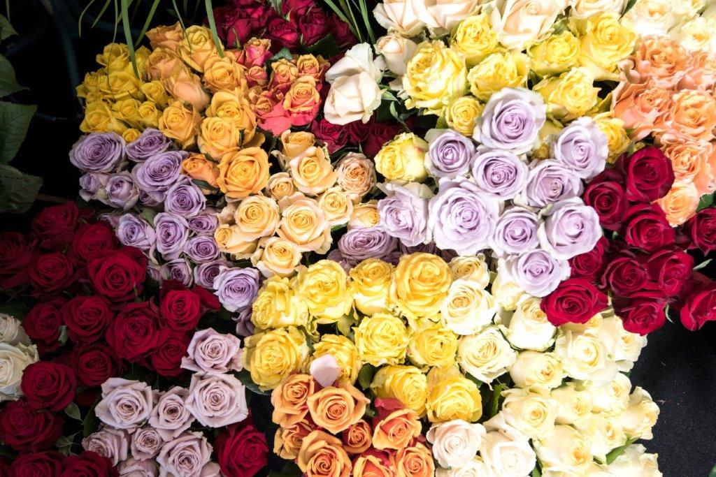 Anns Flowers | florist | 255 Charman Rd, Cheltenham VIC 3192, Australia | 0395837527 OR +61 3 9583 7527