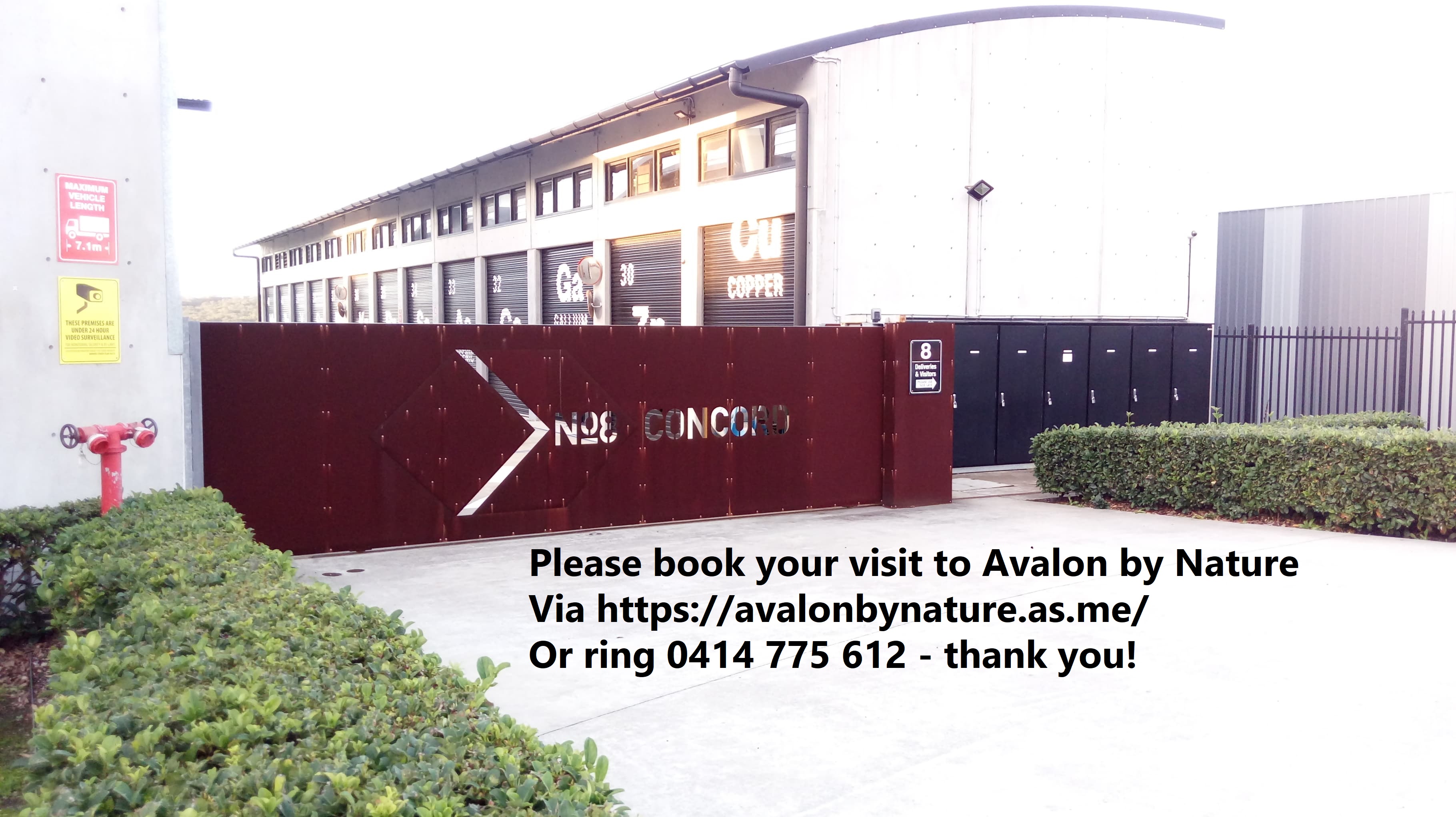 Avalon by Nature | store | 12/8 Concord St, Boolaroo NSW 2284, Australia | 0414775612 OR +61 414 775 612