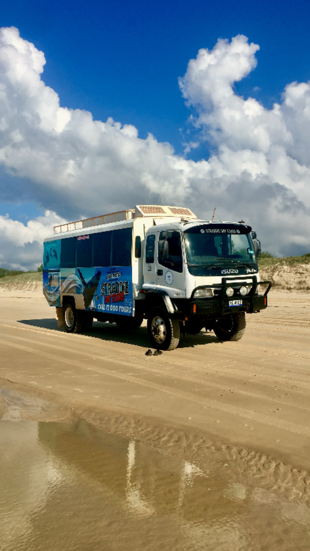 Straddie Day Tours | Queensland, Australia | Phone: 0438 800 284