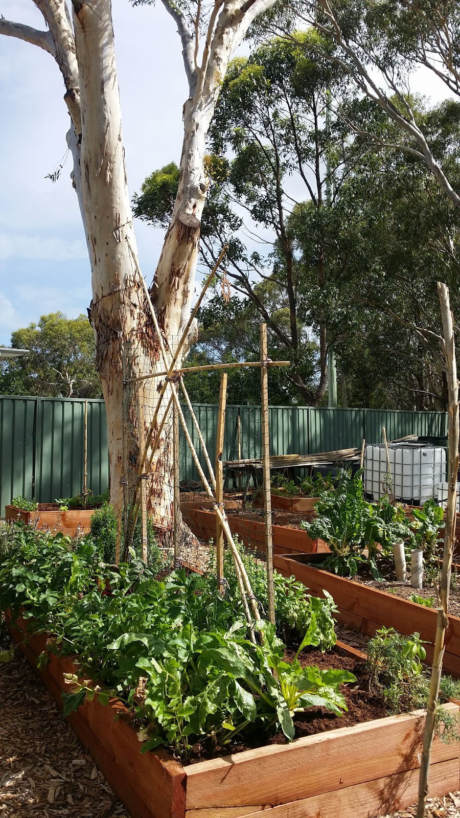 Doyalson Community Garden | Doyalson NSW 2262, Australia