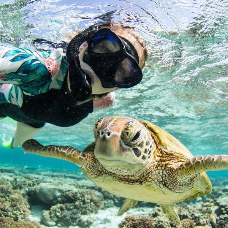 1770 Reef Great Barrier Reef Eco Tours | travel agency | 535 Captain Cook Dr, Seventeen Seventy QLD 4677, Australia | 0749727222 OR +61 7 4972 7222