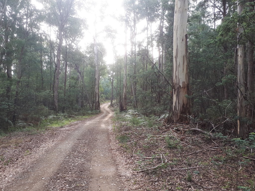 Landers Falls lookout | Landers Falls Walking Track, Pinbeyan NSW 2720, Australia | Phone: (02) 6947 7025