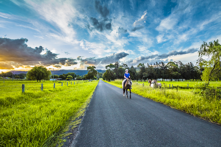 True Colours - Animal Assisted Therapy | 15 Mullers Ln, Berry NSW 2535, Australia | Phone: 0407 769 937