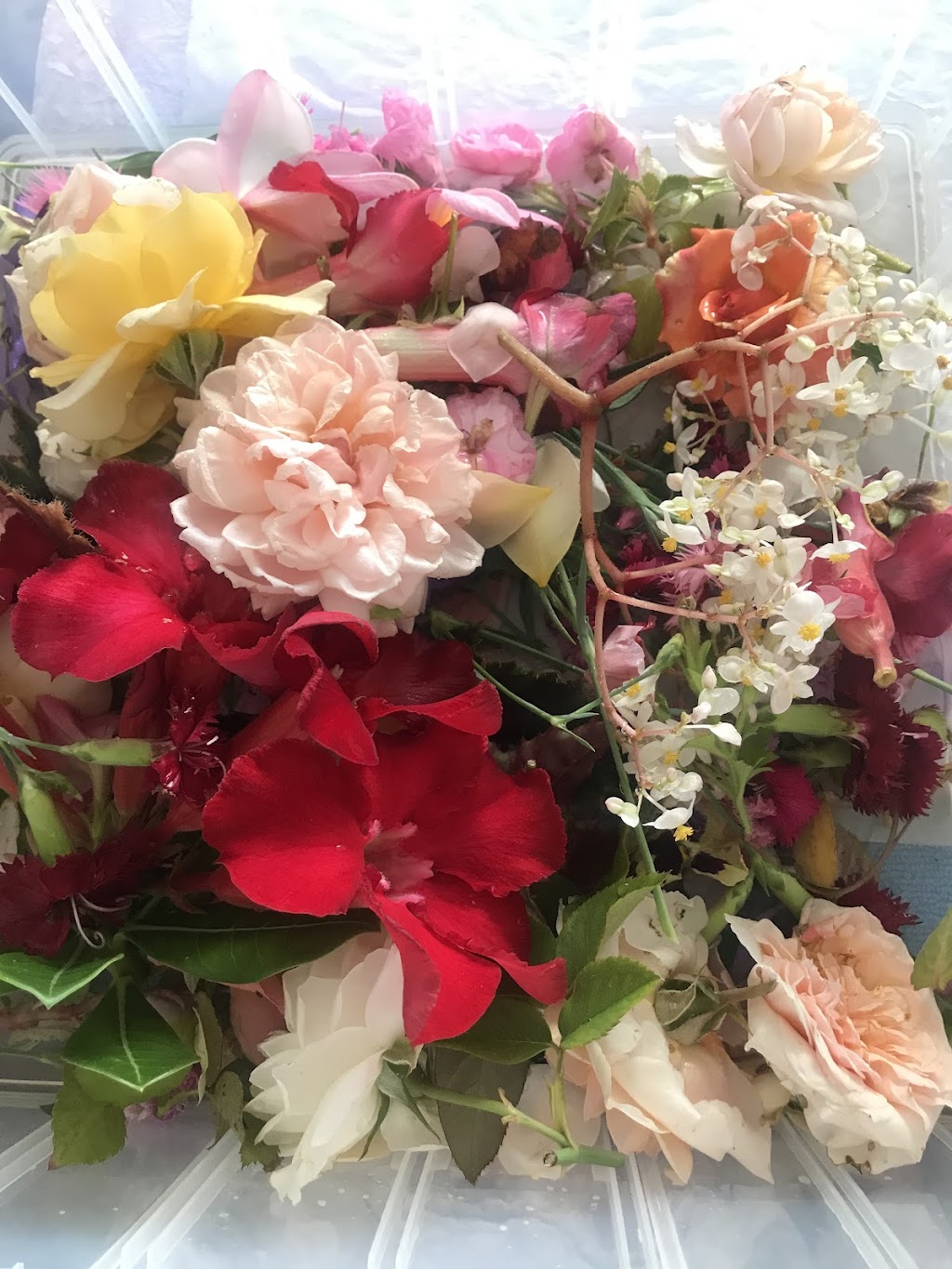 Flora Couture.aust | florist | 23 Oceanblue Blvd, Pialba QLD 4655, Australia | 0414464021 OR +61 414 464 021