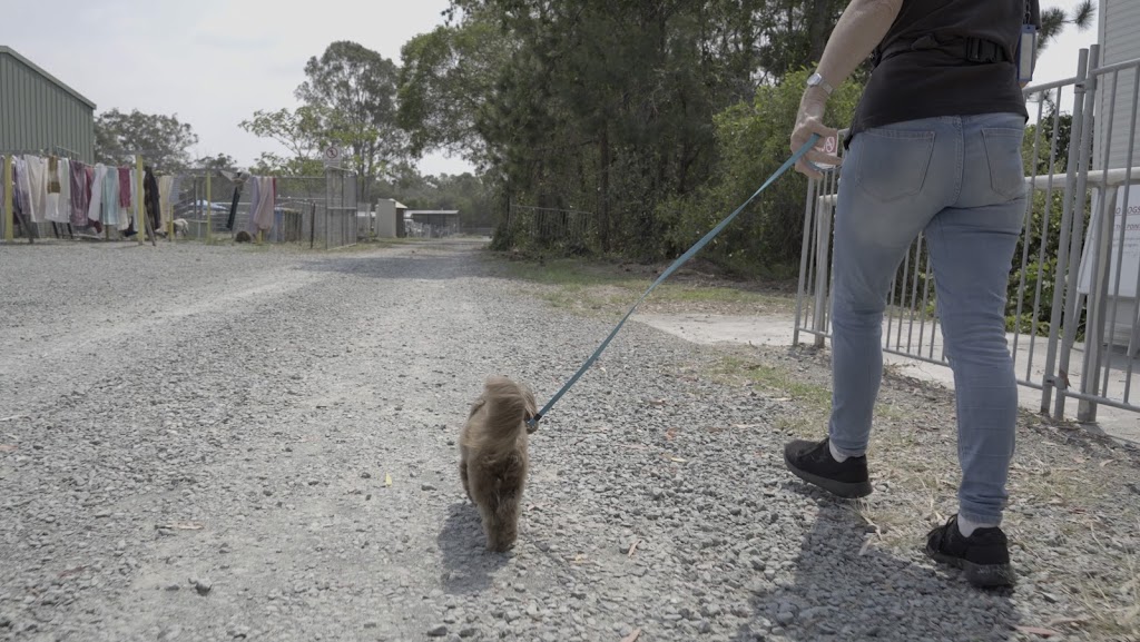 RSPCA Dakabin | Goodwin Rd, Dakabin QLD 4503, Australia | Phone: (07) 3480 6450