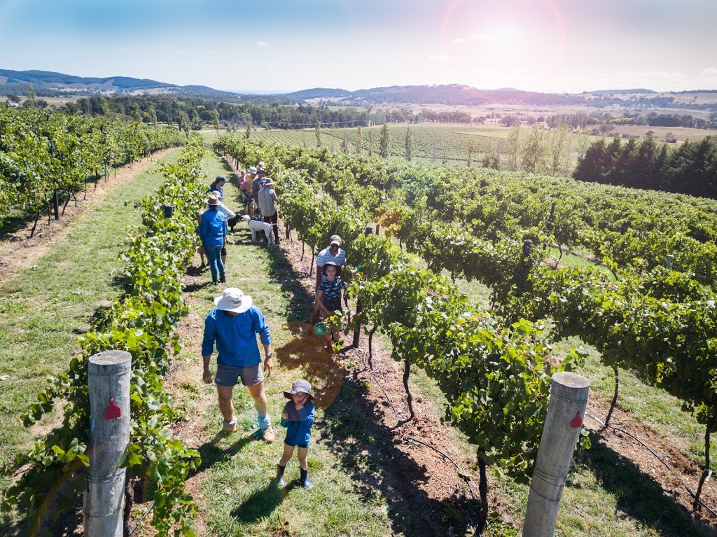 ChaLou Wines | 569 Emu Swamp Rd, Emu Swamp NSW 2800, Australia | Phone: 0427 732 895