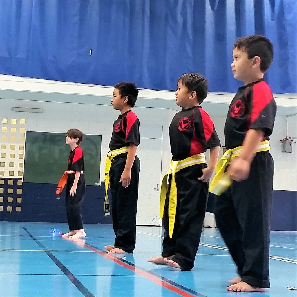 Phoenix Arts Martial Arts - Helensvale | 243 Discovery Dr, Helensvale QLD 4212, Australia | Phone: 0434 720 112