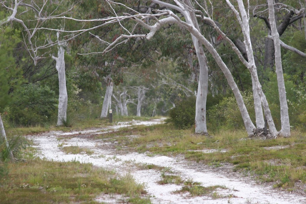 Campsite 3 (Upper Noosa River) |  | Harrys Hut Rd, Como QLD 4571, Australia | 137468 OR +61 137468