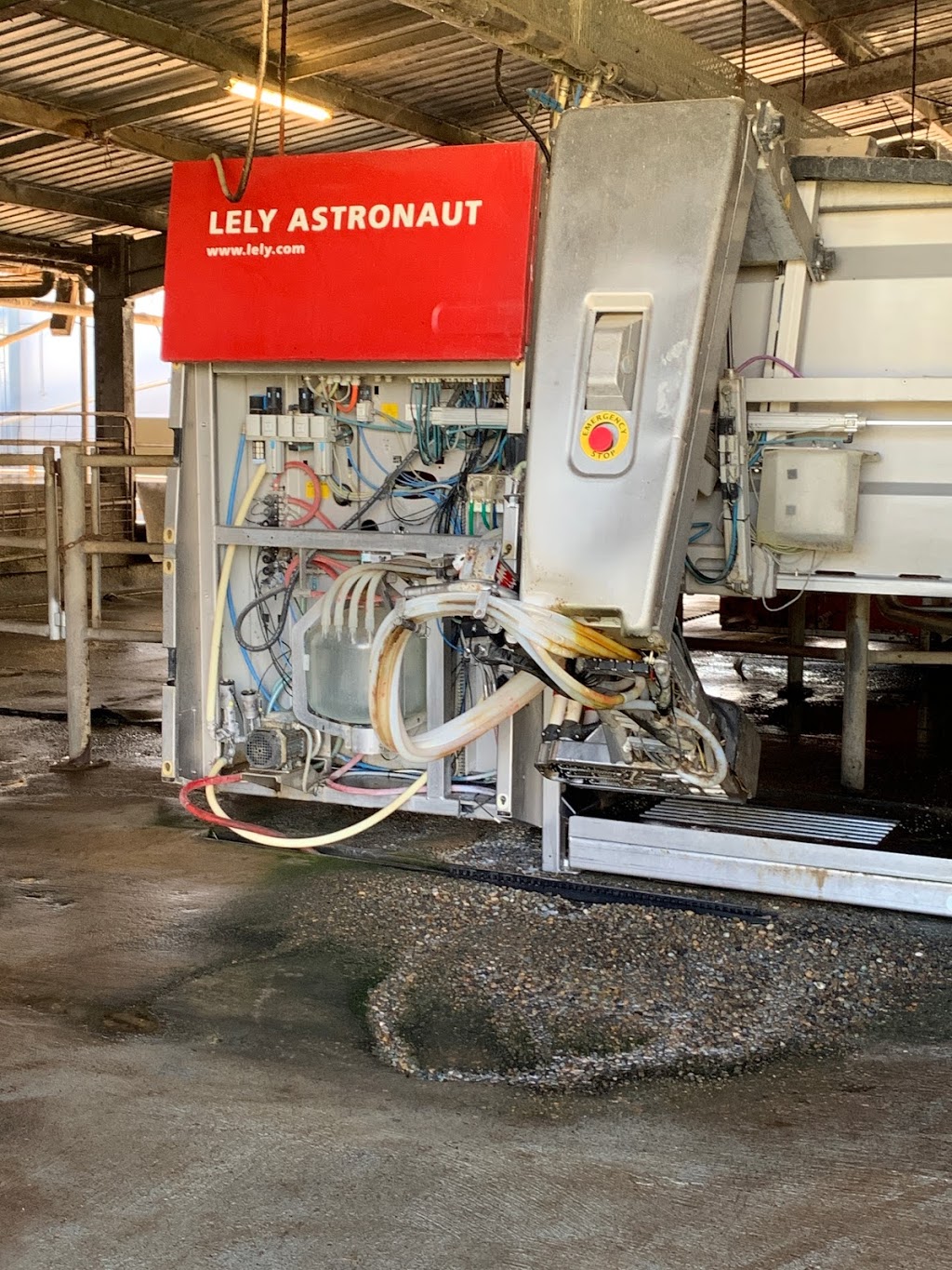 Scenic Rim Robotic Dairy |  | 9023 Mount Lindesay Hwy, Tamrookum QLD 4285, Australia | 0438414206 OR +61 438 414 206