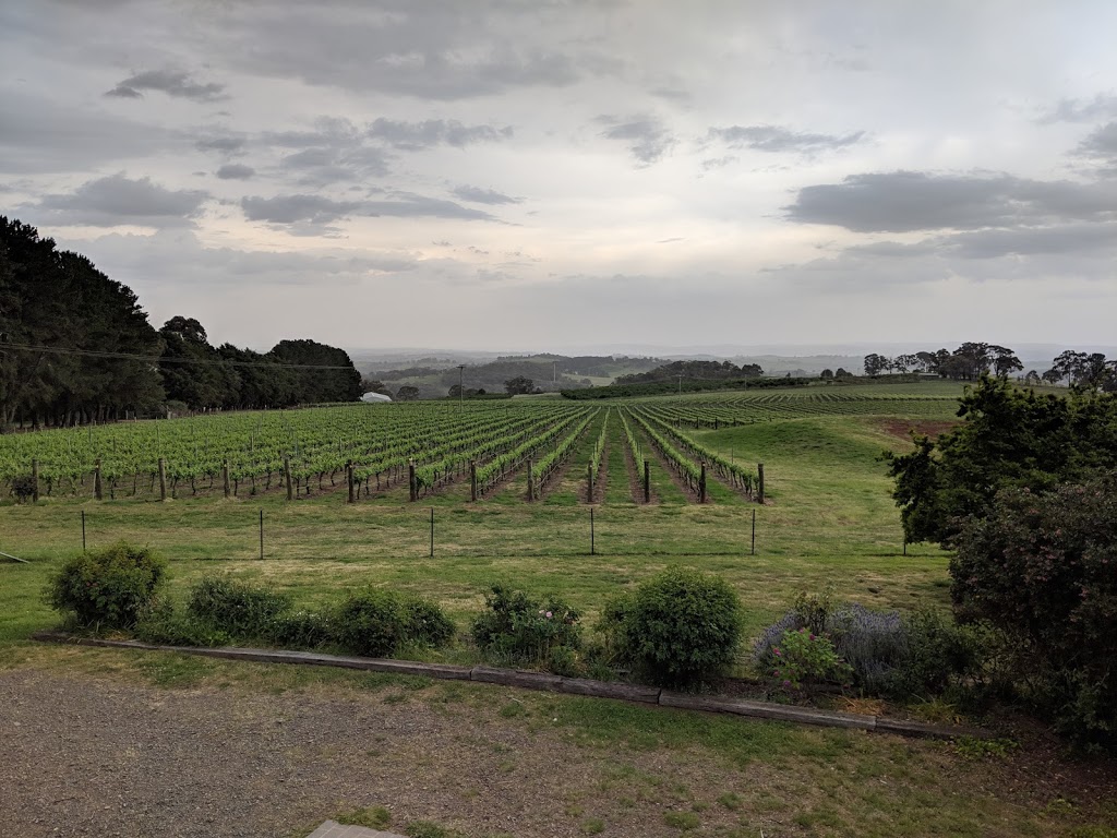 Forest Edge Vineyard | Forest Edge Vineyard, 279 Old Canobolas Rd, Nashdale NSW 2800, Australia | Phone: 0403 210 703