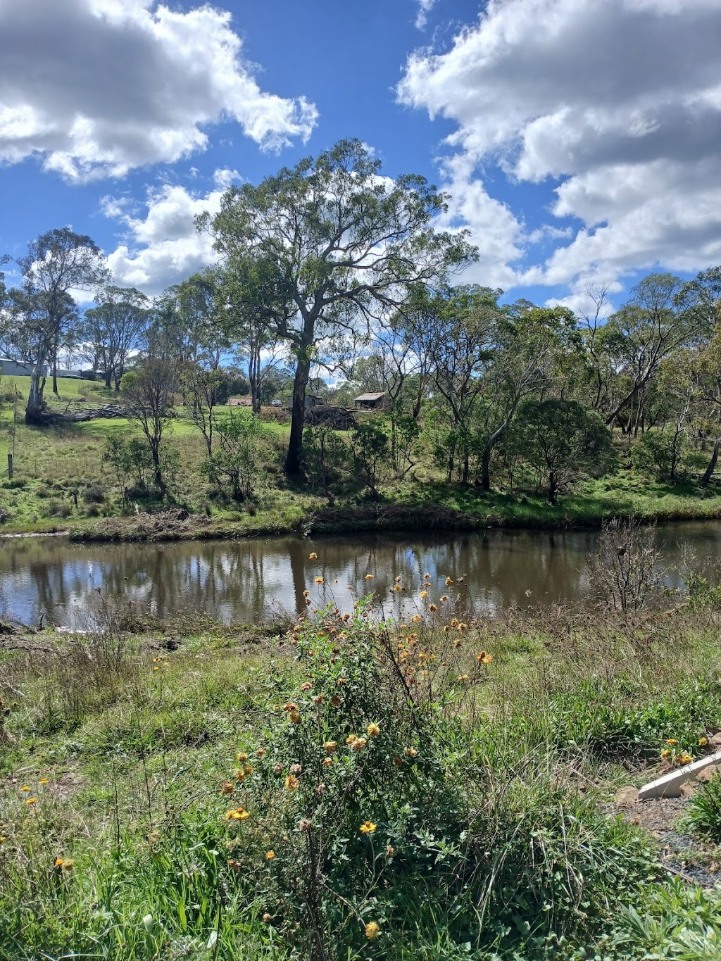Upper Falls loop walk | Ebor Walking Track, Ebor NSW 2453, Australia | Phone: 1300 072 757