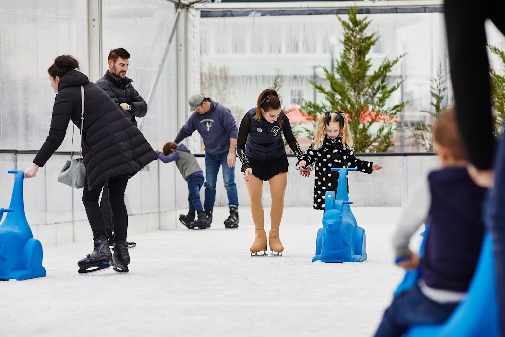 Ice Rinks Australia | 127 Bungower Rd, Somerville VIC 3912, Australia | Phone: 0402 544 063