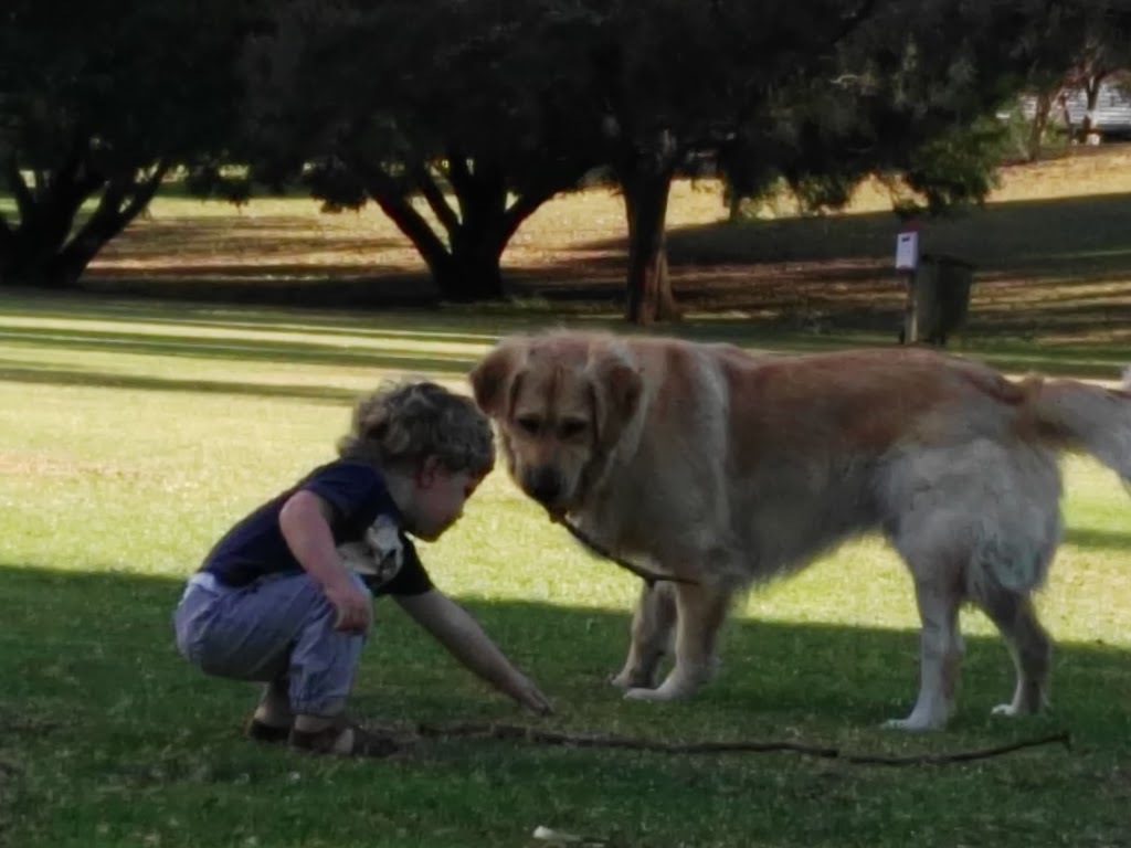 Helston Park | Helston Ave, City Beach WA 6015, Australia