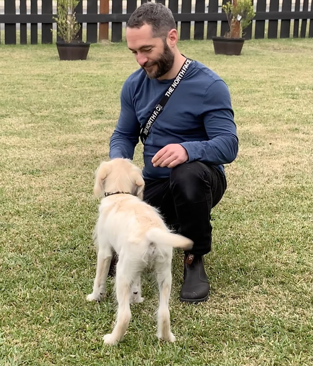 Big Head Dog Training | 147 Vulcan St, Moruya NSW 2537, Australia | Phone: 0404 217 087