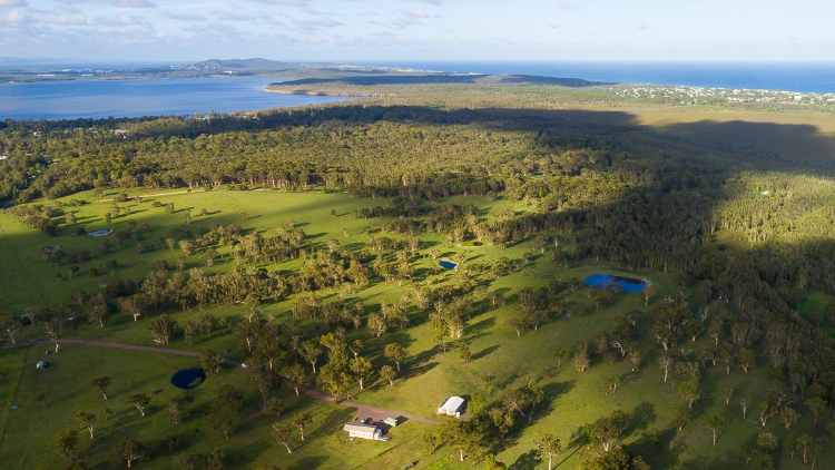 Dragan Farms | Lot 5, Old Emu Mountain Rd, Peregian Beach QLD 4573, Australia | Phone: 0410 585 619