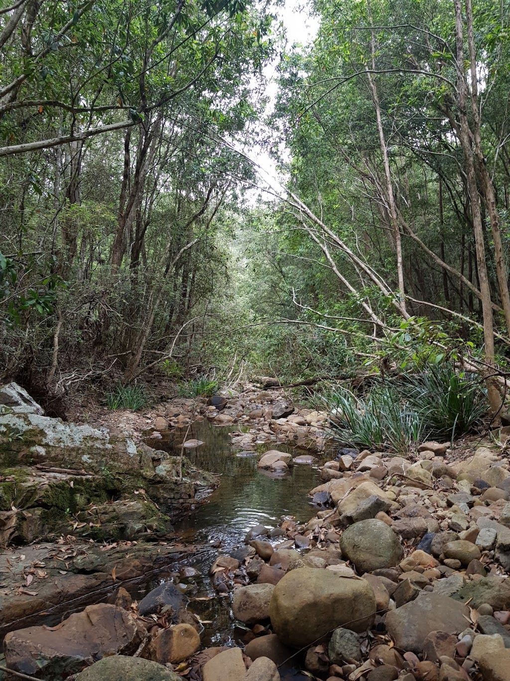 Myall River | New South Wales, Australia