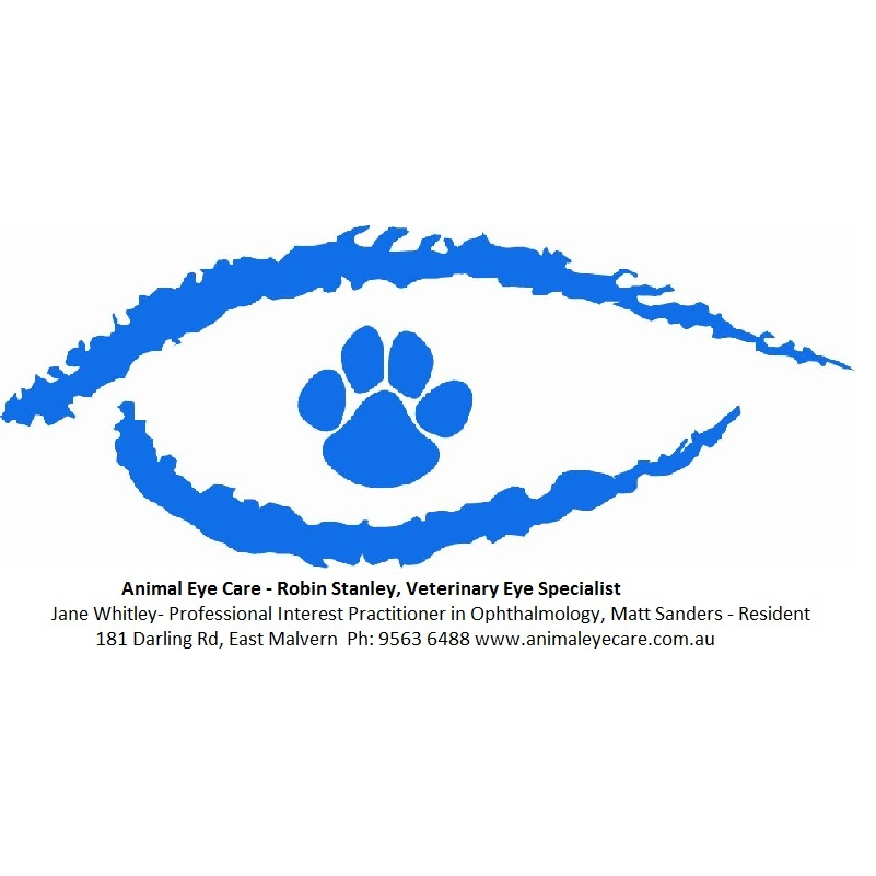 Animal Eye Care Dr. Stanley Robin, Dr Jane Whitley, Dr Matt Sand | veterinary care | 181 Darling Rd, Malvern East VIC 3145, Australia | 0395636488 OR +61 3 9563 6488