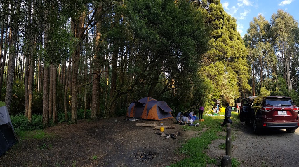 Beauchamp falls campsite | campground | Beauchamp Falls Walking Track, Beech Forest VIC 3237, Australia