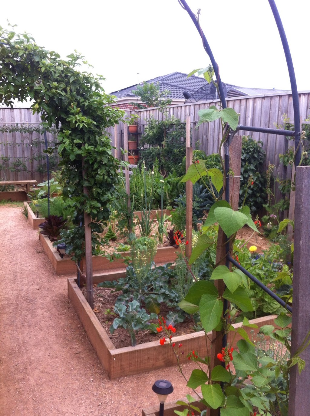 Edible Gardens by Craig Castree | 88 Rowes Rd, Werribee VIC 3030, Australia | Phone: 0411 720 283