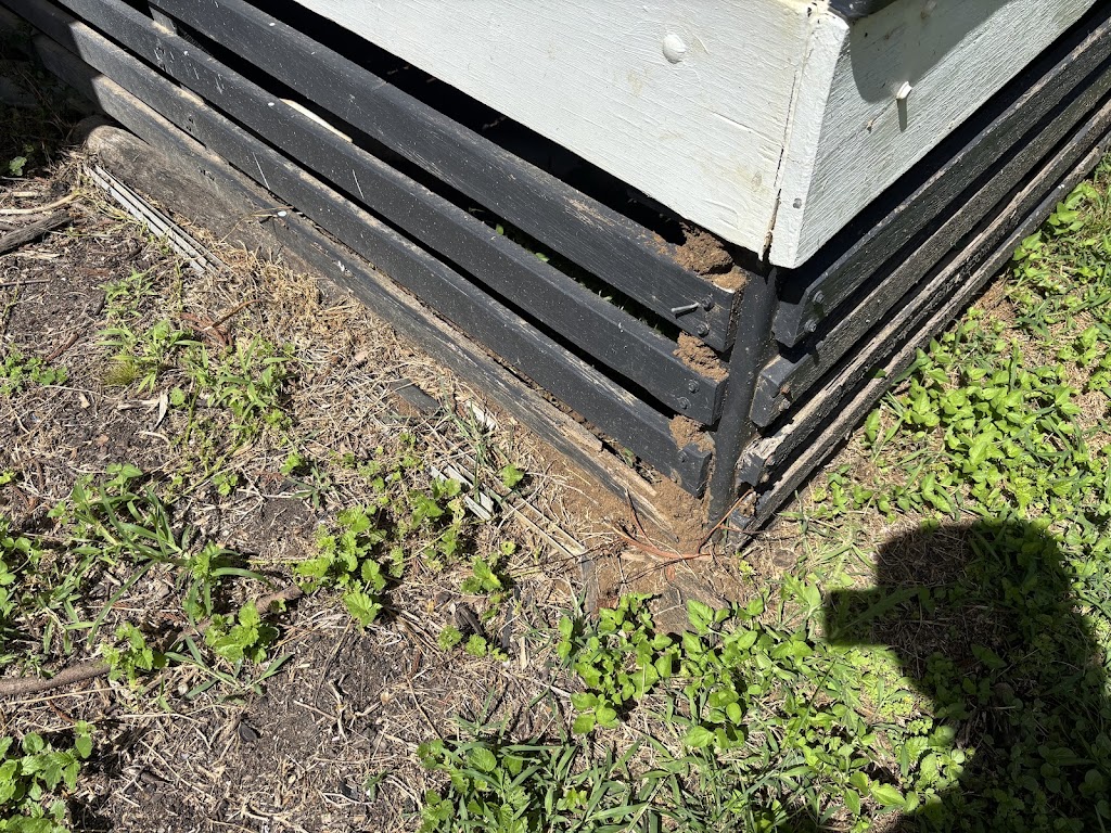 Clearzone Pest Management | 45 Fodora Pl, Burpengary East QLD 4505, Australia | Phone: 0413 521 610