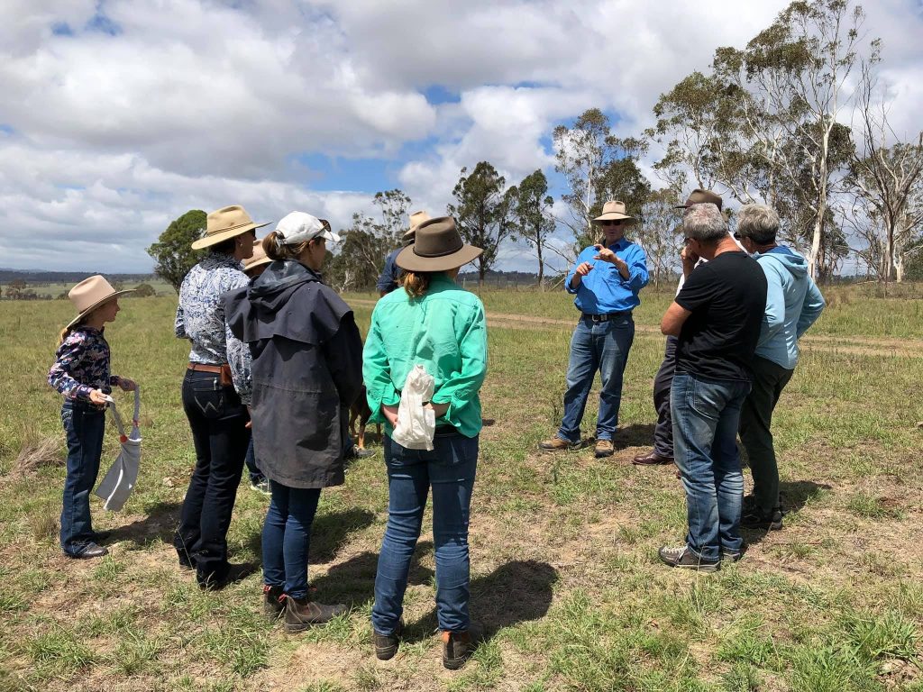 Tarinore Farm - Southern Blue Regenerative |  | 6 Wollomombi Village Rd, Wollomombi NSW 2350, Australia | 0414618350 OR +61 414 618 350