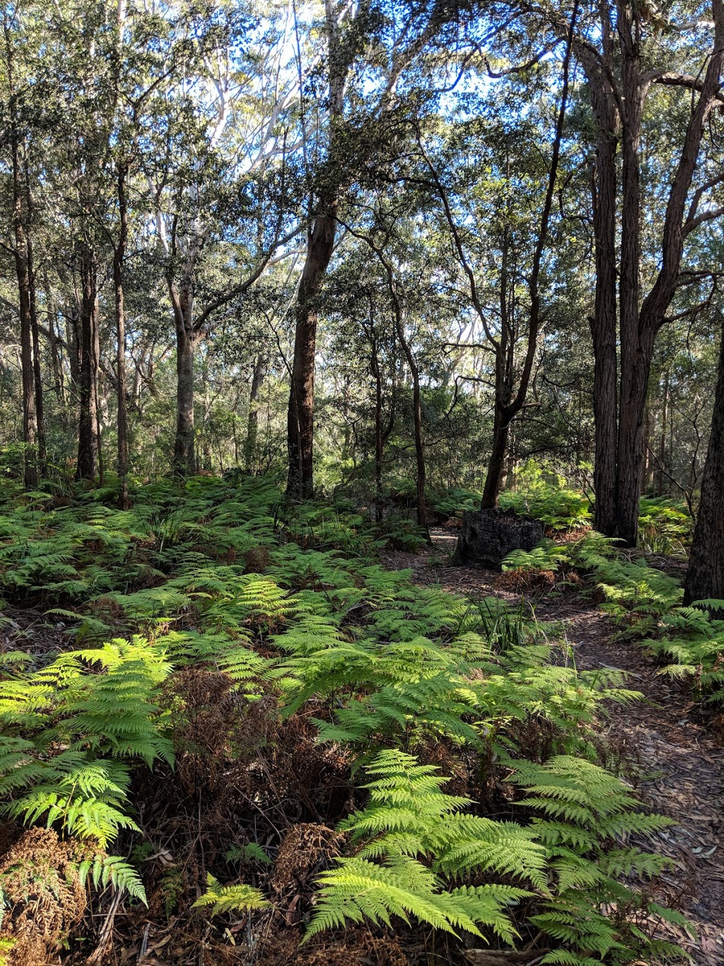 Illawarra Escarpment State Conservation Area | park | Corrimal NSW 2518, Australia