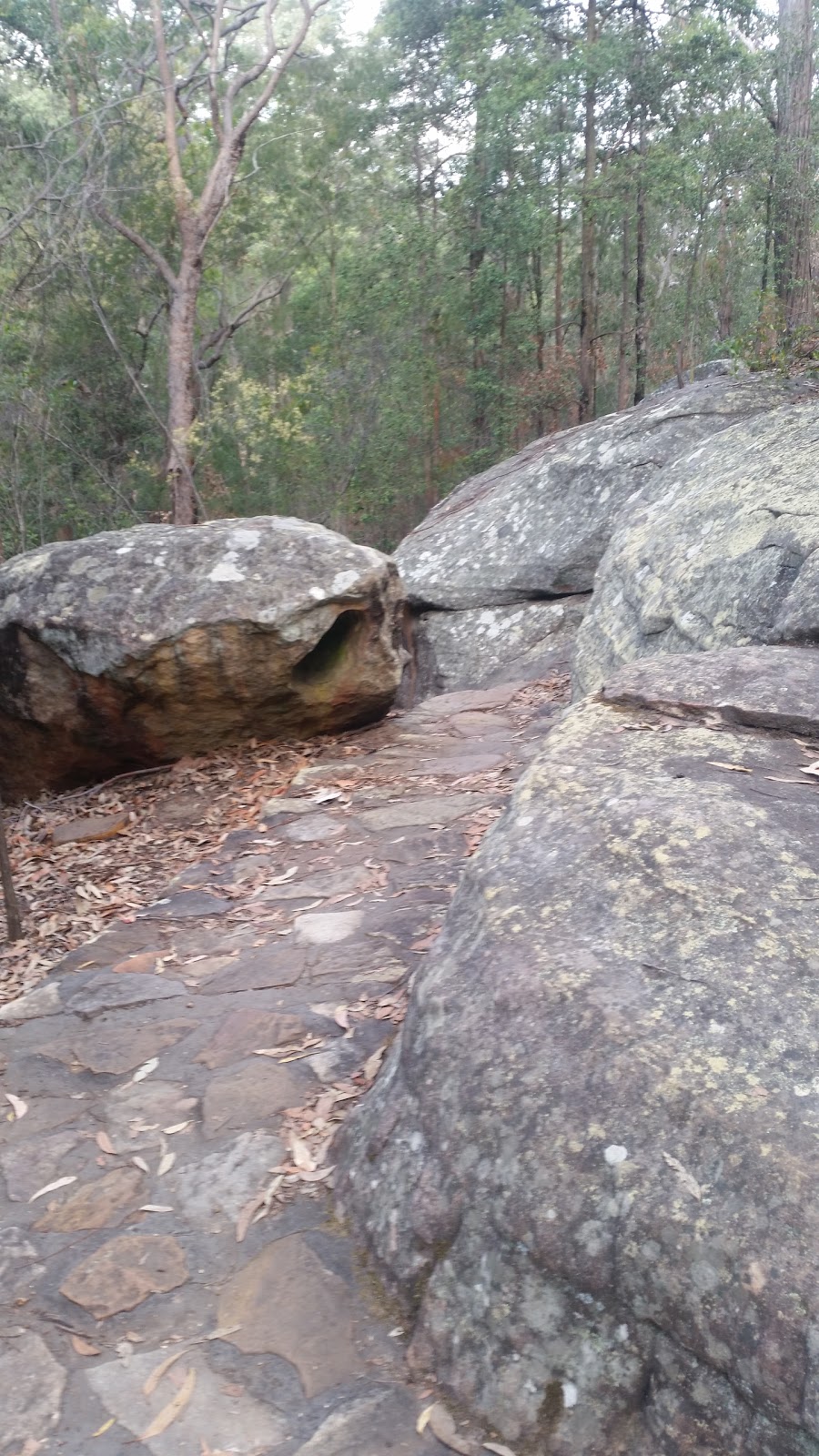 Red Hands Cave Track | park | 77 Bruce Rd, Glenbrook NSW 2773, Australia