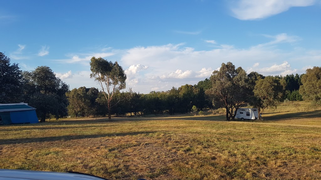 Macquarie Woods Forestry Reserve Campground | campground | Macquarie Woods Dr, Guyong NSW 2799, Australia