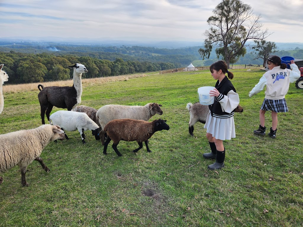 Woori Yallock Therapy Farm | 205 Owens Rd, Woori Yallock VIC 3139, Australia | Phone: 0411 271 418