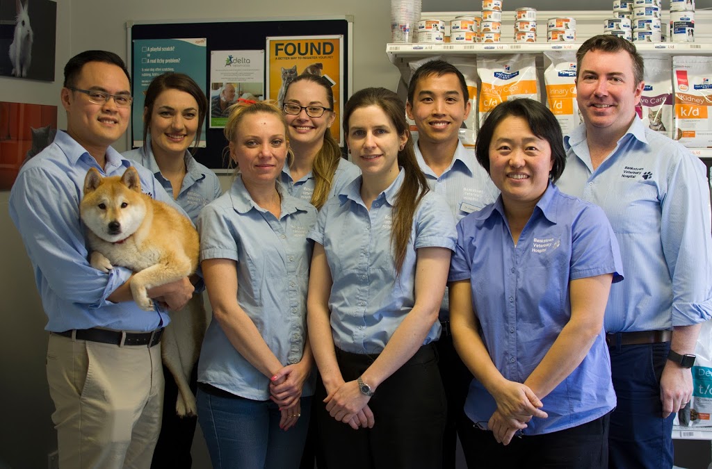 Bankstown Veterinary Hospital | veterinary care | 14 Marshall St, Bankstown NSW 2200, Australia | 0297901101 OR +61 2 9790 1101