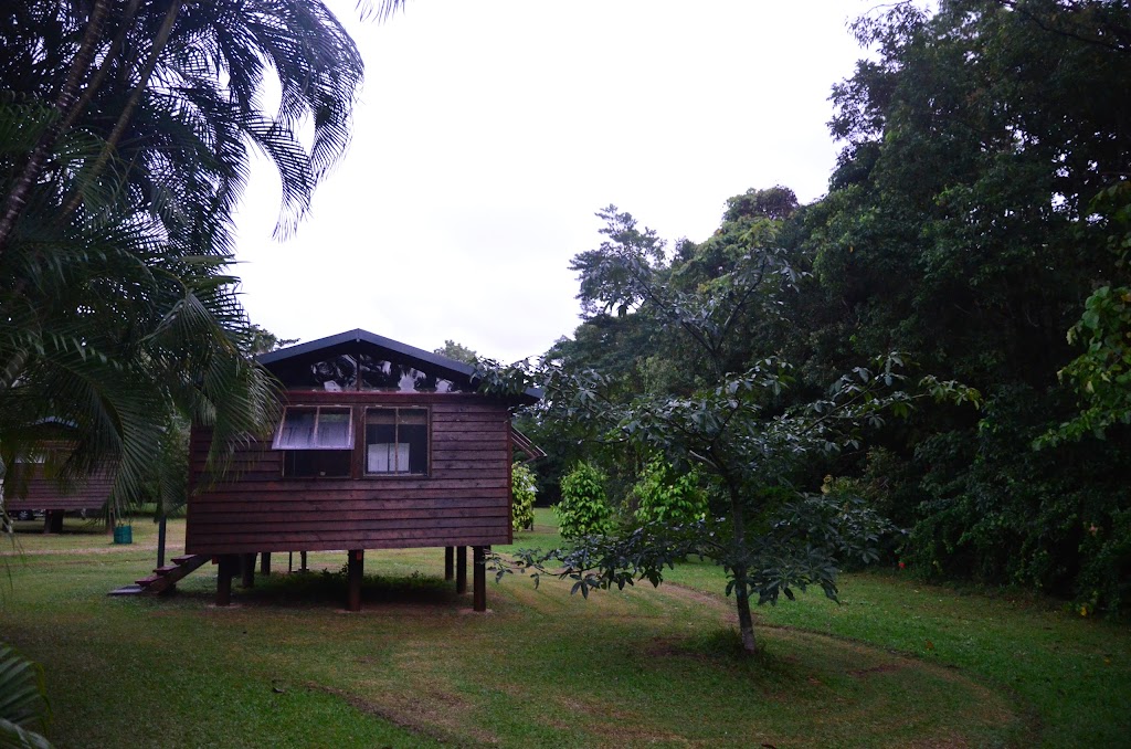 Daintree Rainforest Bungalows |  | 22 Spurwood Rd, Cow Bay QLD 4873, Australia | 0466426286 OR +61 466 426 286