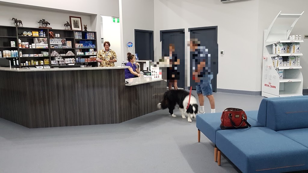 Marburg Veterinary Clinic | 159 Edmond St, Marburg QLD 4346, Australia | Phone: (07) 5307 9888