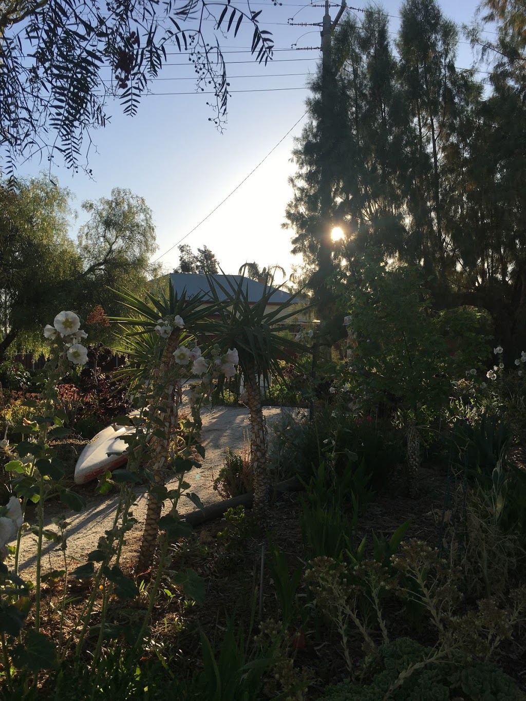 Lake Boga Community Garden | Station St, Lake Boga VIC 3584, Australia