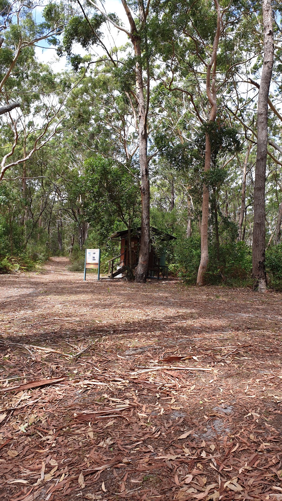 Rivermouth campground | Mouth of River Trail, Bombah Point NSW 2423, Australia | Phone: (02) 6591 0300