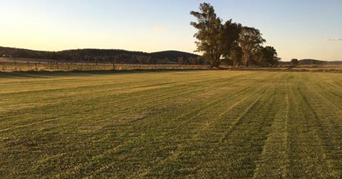 Lachlan Valley Turf |  | Grantwood, 1957 Lachlan Valley Way, Cowra NSW 2794, Australia | 0428455265 OR +61 428 455 265