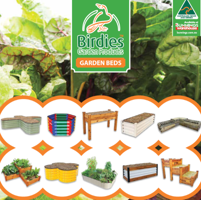 Birdies Garden Products | park | 35 Alex Fisher Dr, Burleigh Heads QLD 4220, Australia | 0755935133 OR +61 7 5593 5133