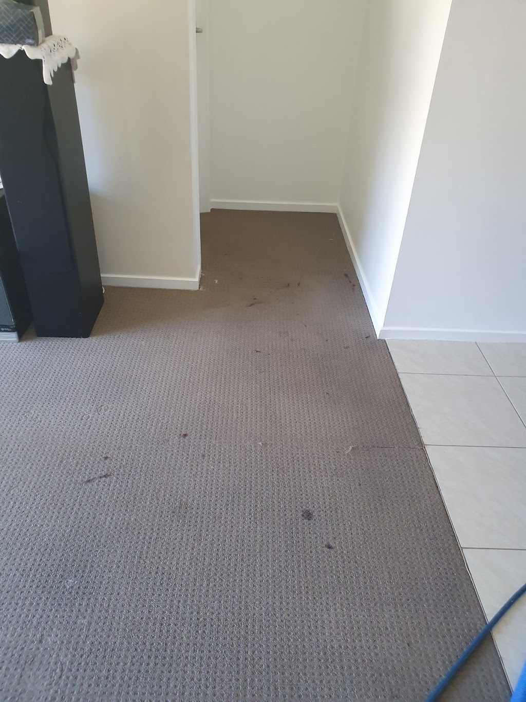 J & B domestic and office cleaning | Juliet Ave, Tarneit VIC 3029, Australia | Phone: 0469 922 005