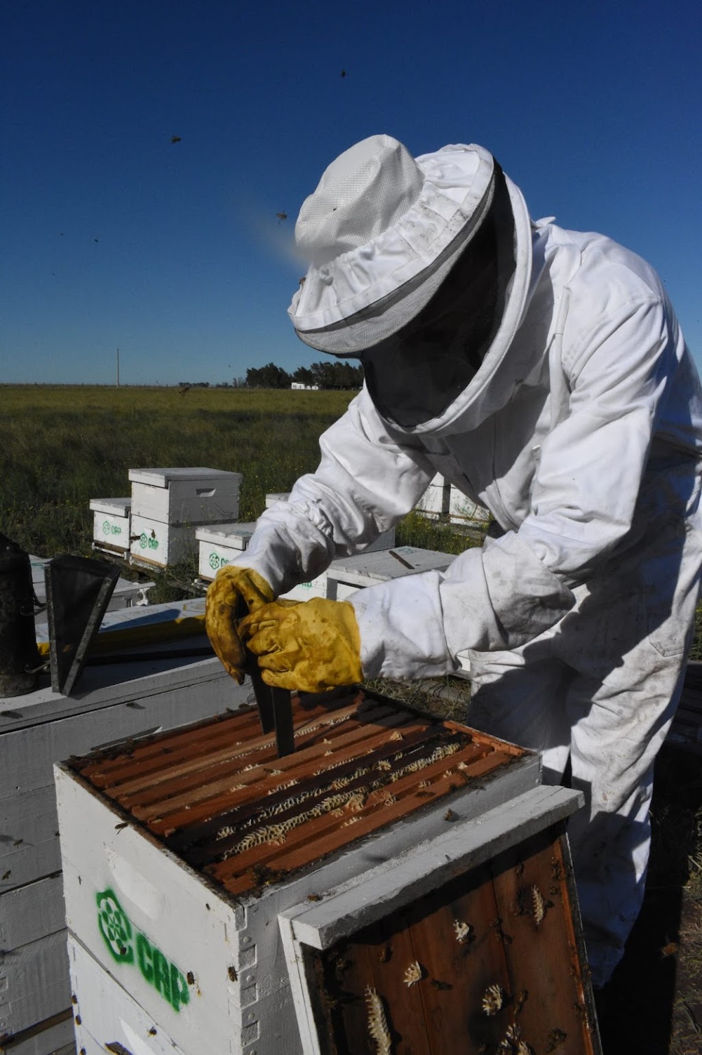 Aluen CAP Australia | 18B Industrial Ave, Mudgee NSW 2850, Australia | Phone: 1800 921 520