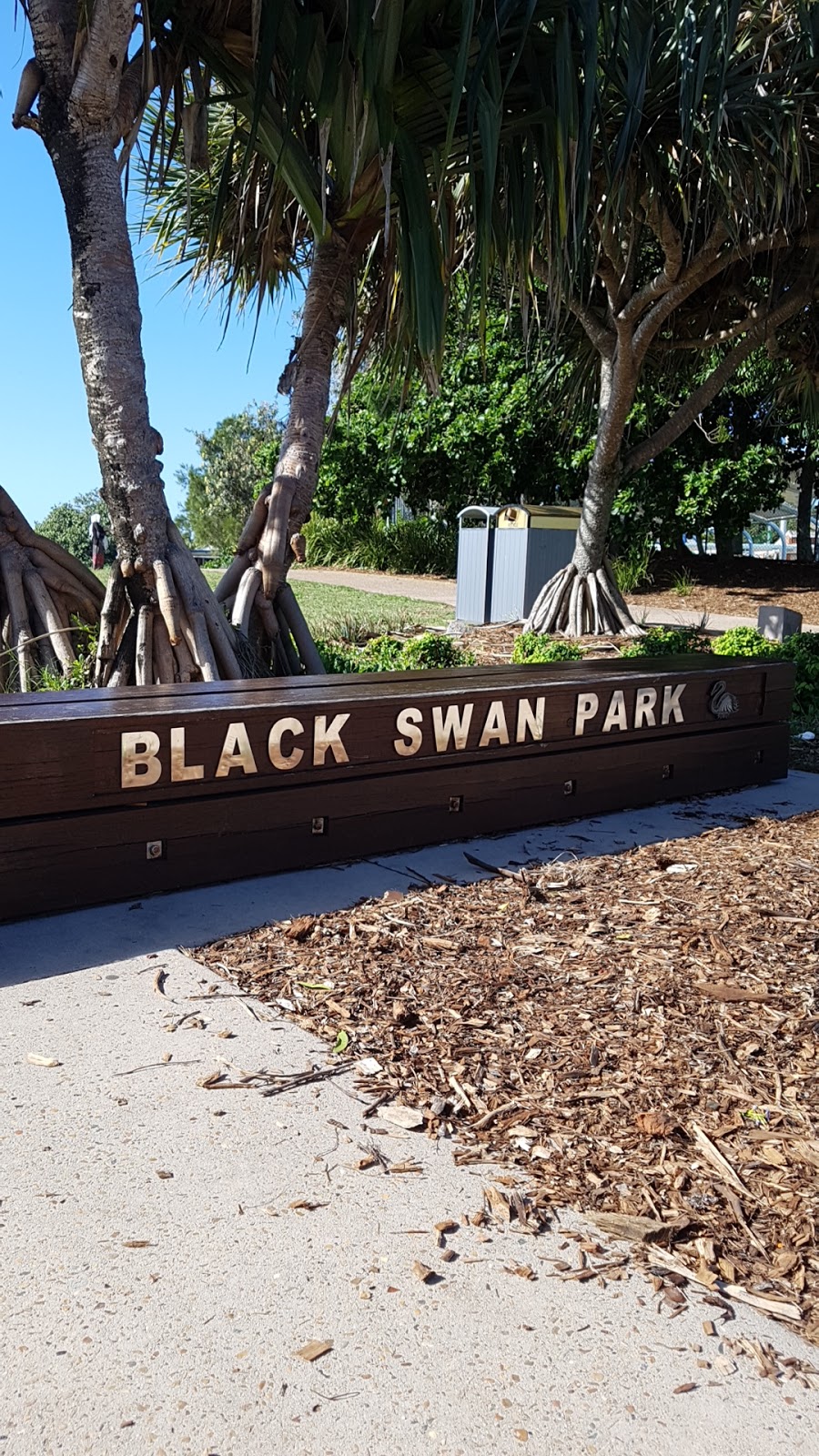 Black Swan Park | park | Maroochydore QLD 4558, Australia