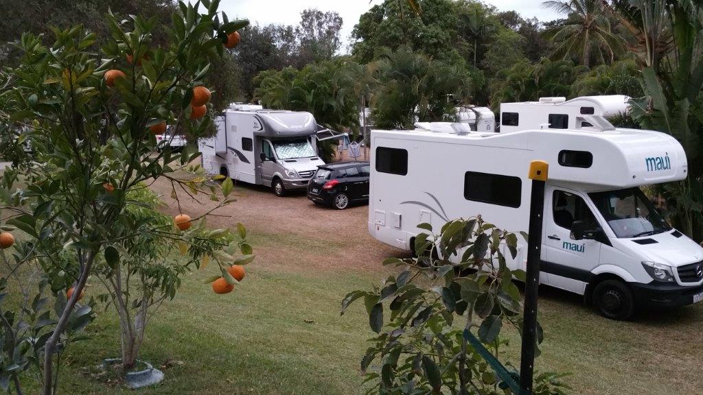 Bush Oasis Caravan Park | 1 Muntalunga Dr, Nome QLD 4816, Australia | Phone: (07) 4778 8301