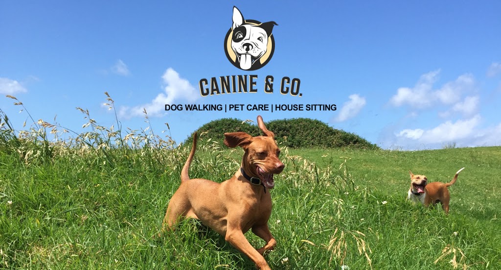 Canine & Co. Australia | Military Rd, Mosman NSW 2088, Australia | Phone: 0434 813 673