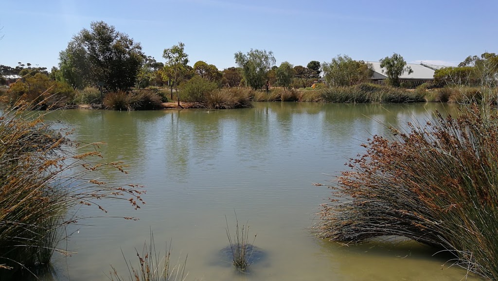 Pinnaroo Wetlands | park | 8 Mallee Hwy, Pinnaroo SA 5304, Australia