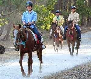 Zia Park Equestrian Centre | travel agency | 8410 Stoneville Rd, Gidgegannup WA 6083, Australia | 0895746010 OR +61 8 9574 6010